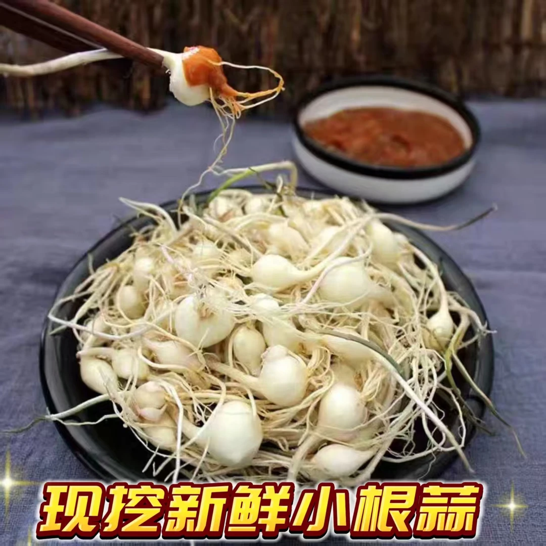 东北特产新鲜小根蒜大脑瓜现挖现发新鲜营养包邮