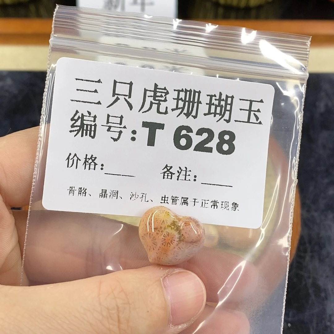 硅化珊瑚（珊瑚玉）1未镶嵌庸*