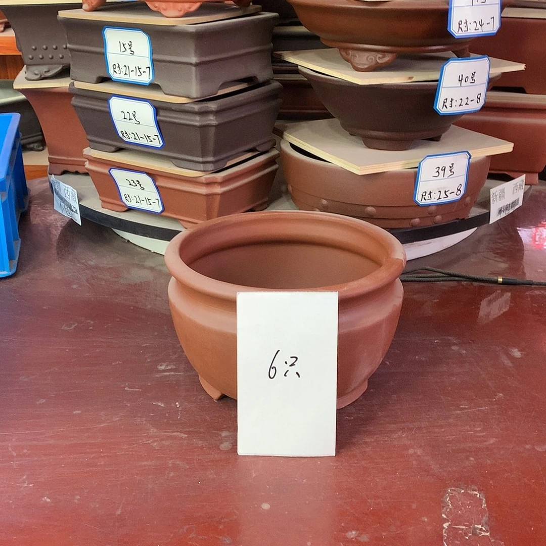 用****698米，自选三只！