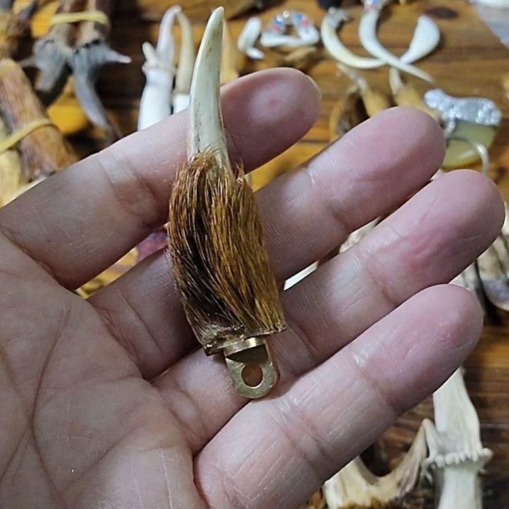 鸿乐堂直播间选货