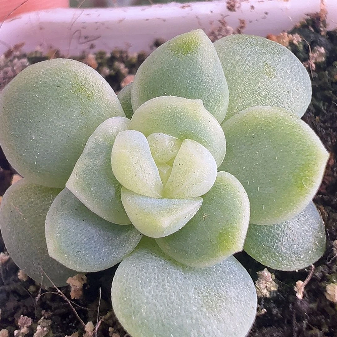 财富密码Ct。