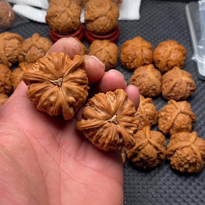 核桃把件快****蜂拼接白狮子7