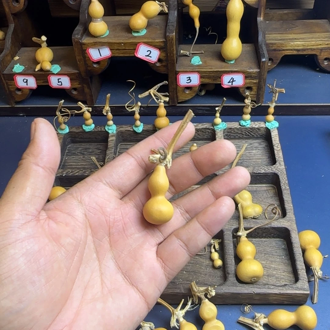 ༺****我是一只小小鸟地域文化特色社会主义核心