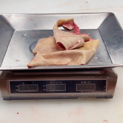 【闪购商品】冷冻保存30天包装河北省光*