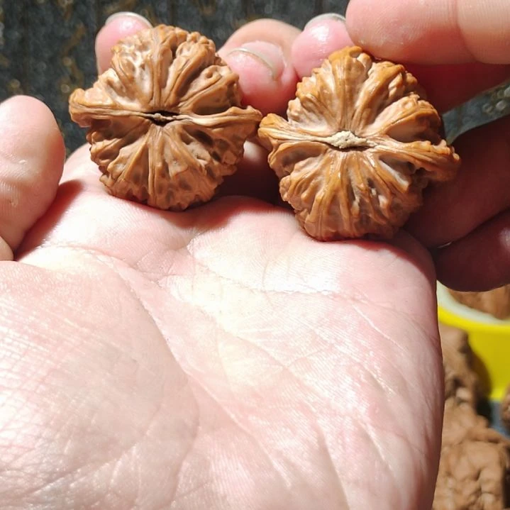 文玩核桃把件忧**羊三角白