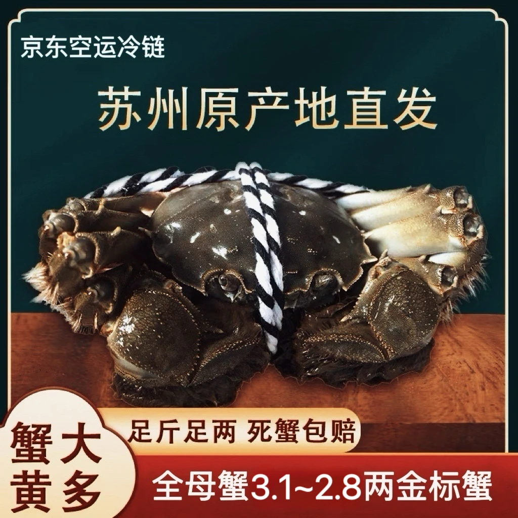 【苏州金标活蟹】大闸蟹 全母蟹3.1-2.8两礼盒装冷链包邮8+2到手10只活蟹现捕现捞