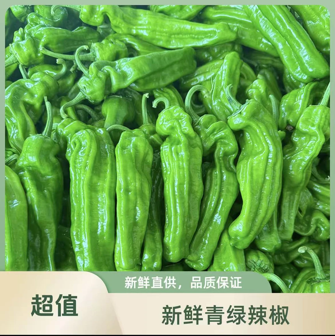 【惠农优选】新鲜薄皮青椒芜湖椒皱皮椒应季蔬菜自产自销