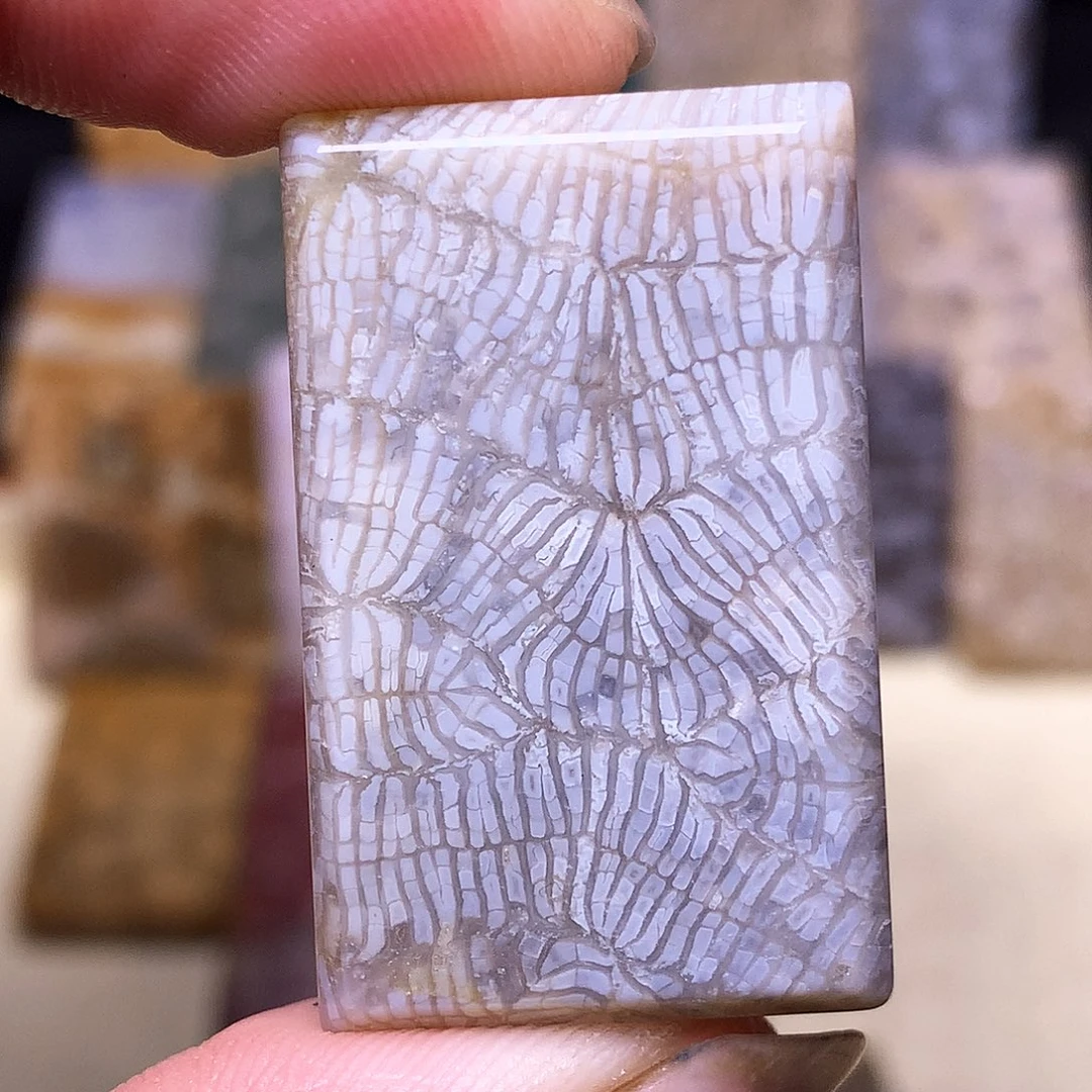 硅化玉珠宝奇石合金～***～