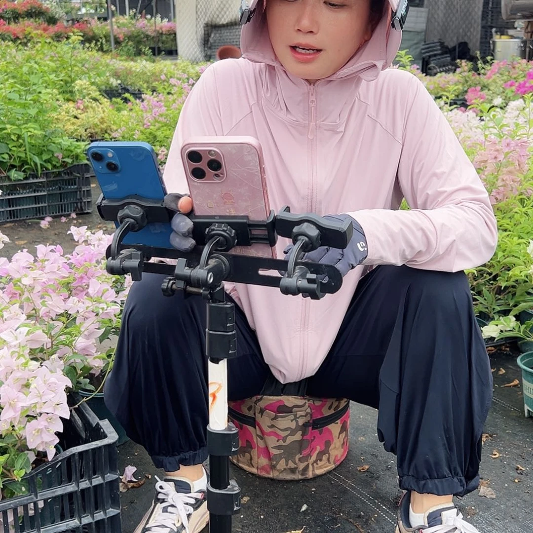 完全开放钵钵鸡5元一棵
