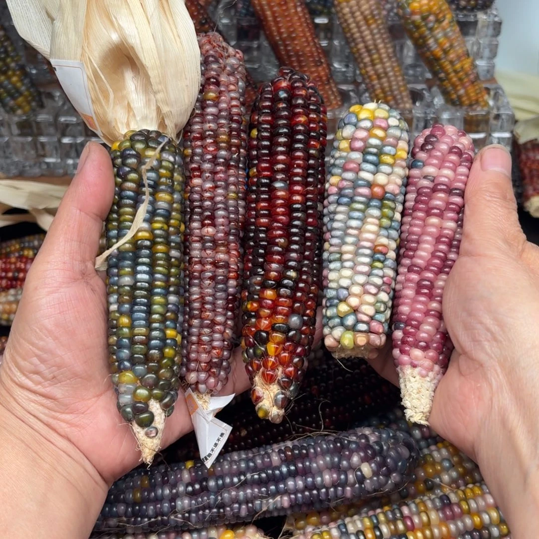 柏香籽/百香籽吊坠1****6