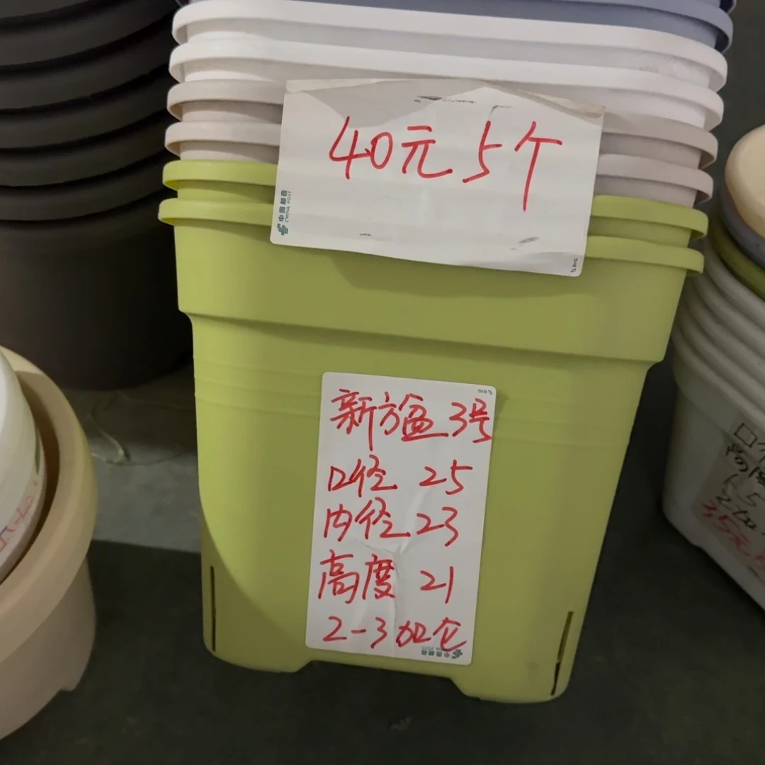 新款方盆口径25无拖果绿5个