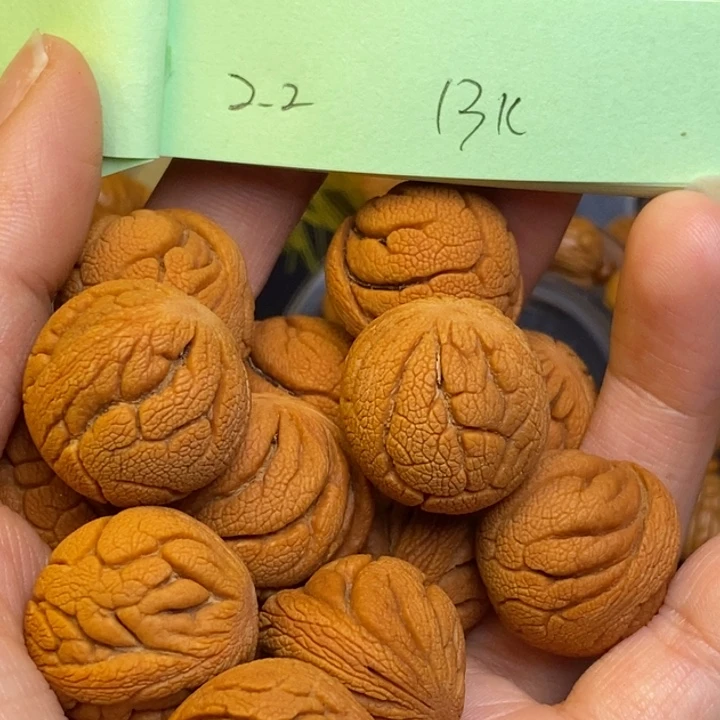桃核吊坠秦岭龙纹桃核22尺寸