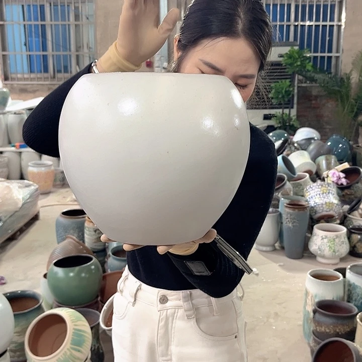 正品口19/高23花盆