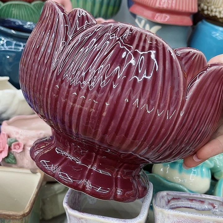 多肉植物陶瓷花盆