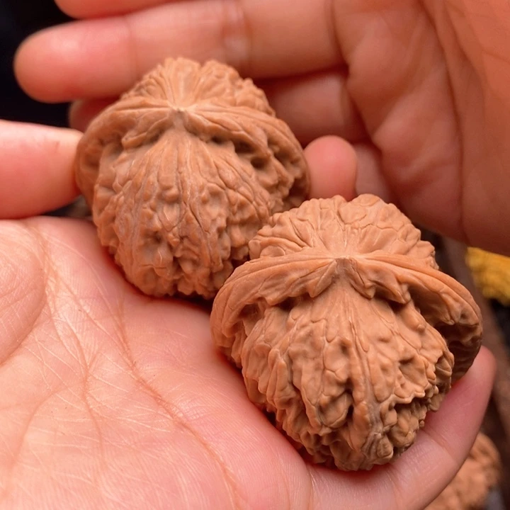 把件文玩核桃白狮子42尺