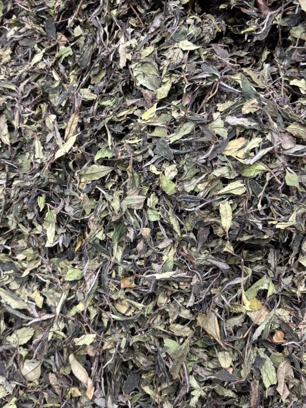 2022年 贡眉 小菜茶 二级贡眉 野韵