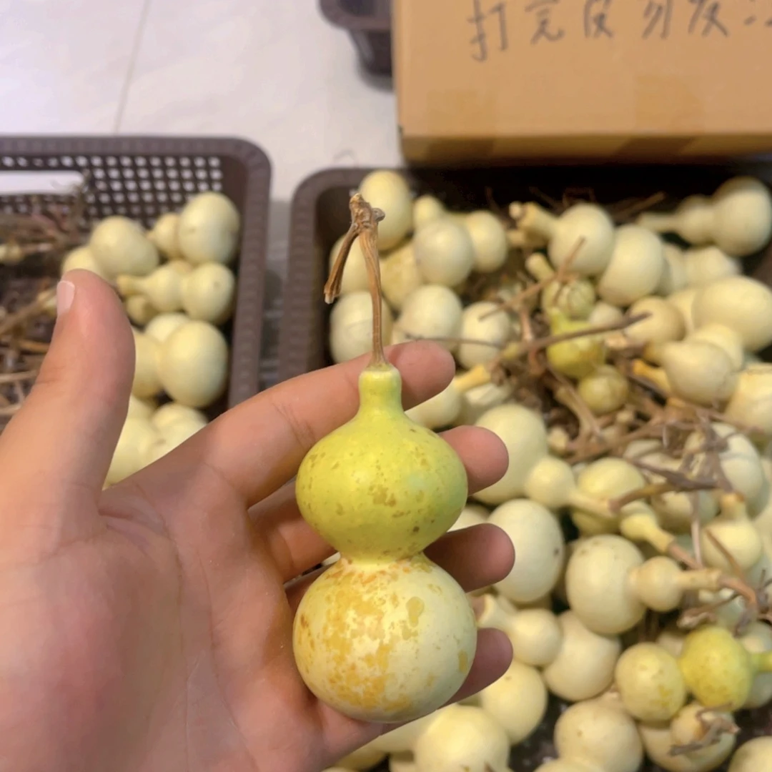 斯***熏感谢大哥支持兄弟，不保成