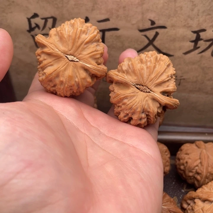 文玩核桃把件43白狮子