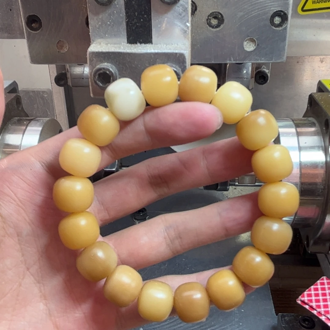 吊坠菩提根/象牙果