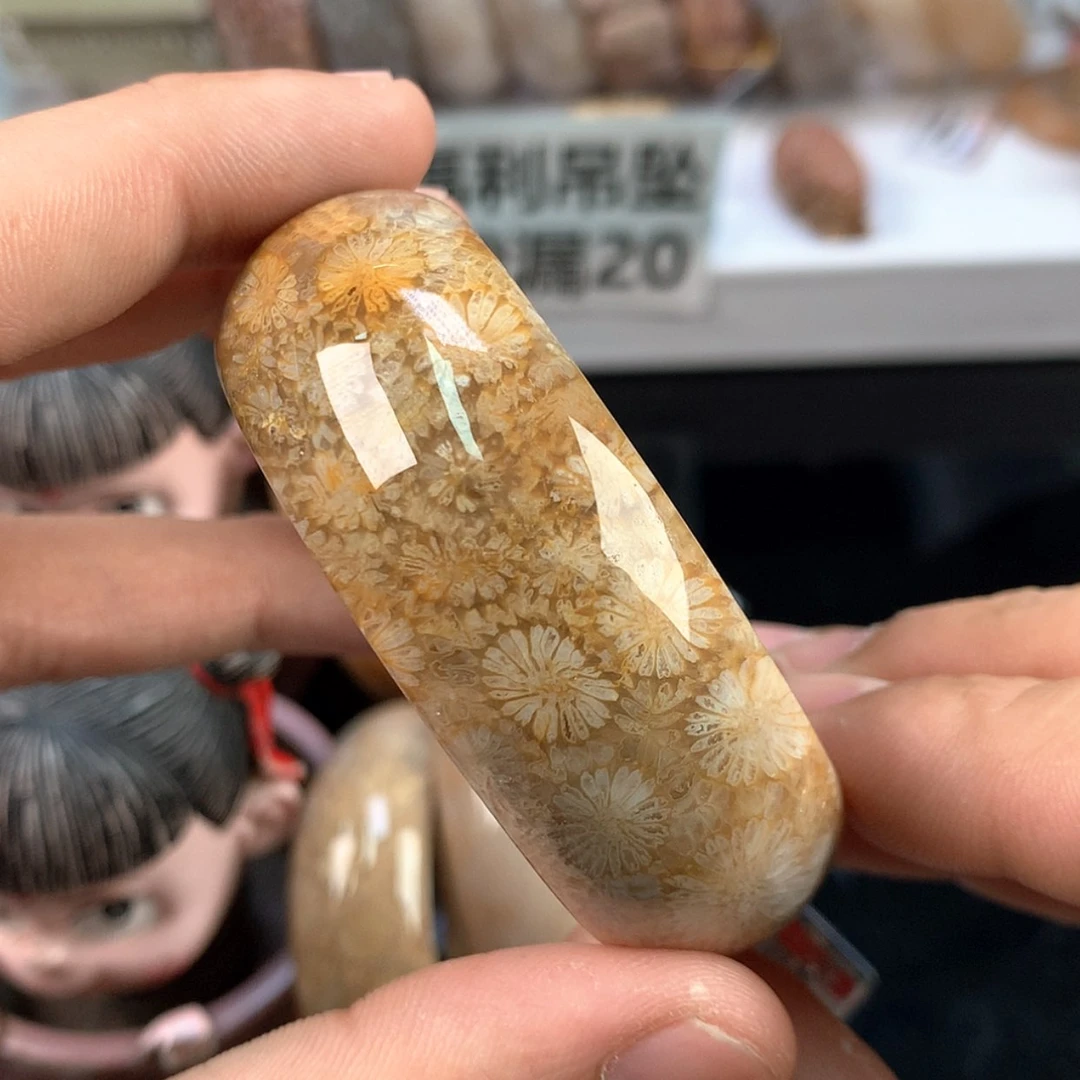 【闪购商品】硅化珊瑚（珊瑚玉）手镯未镶嵌23号圈口51