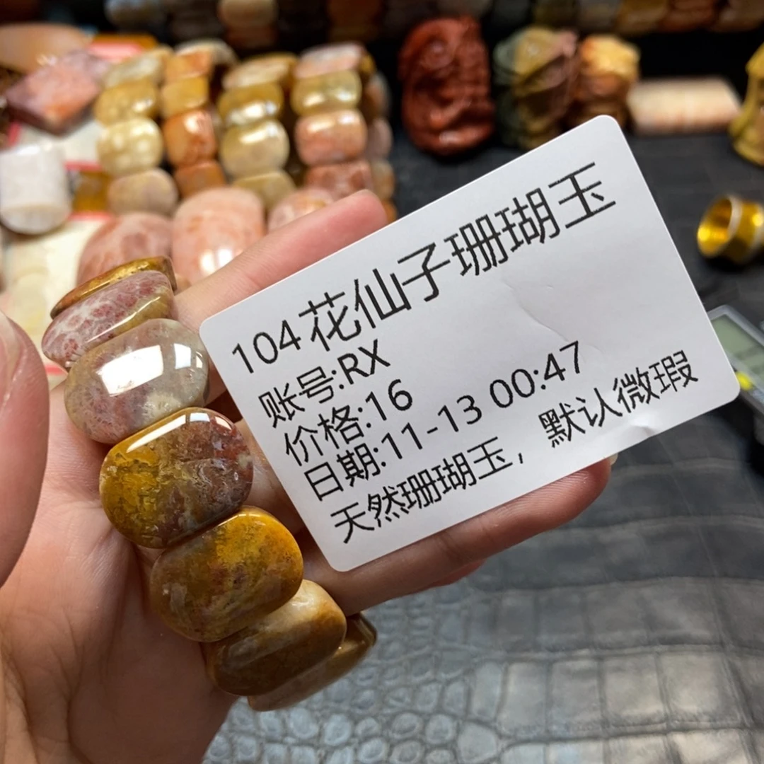 R***X硅化珊瑚（珊瑚玉）未镶嵌珠宝半成品104