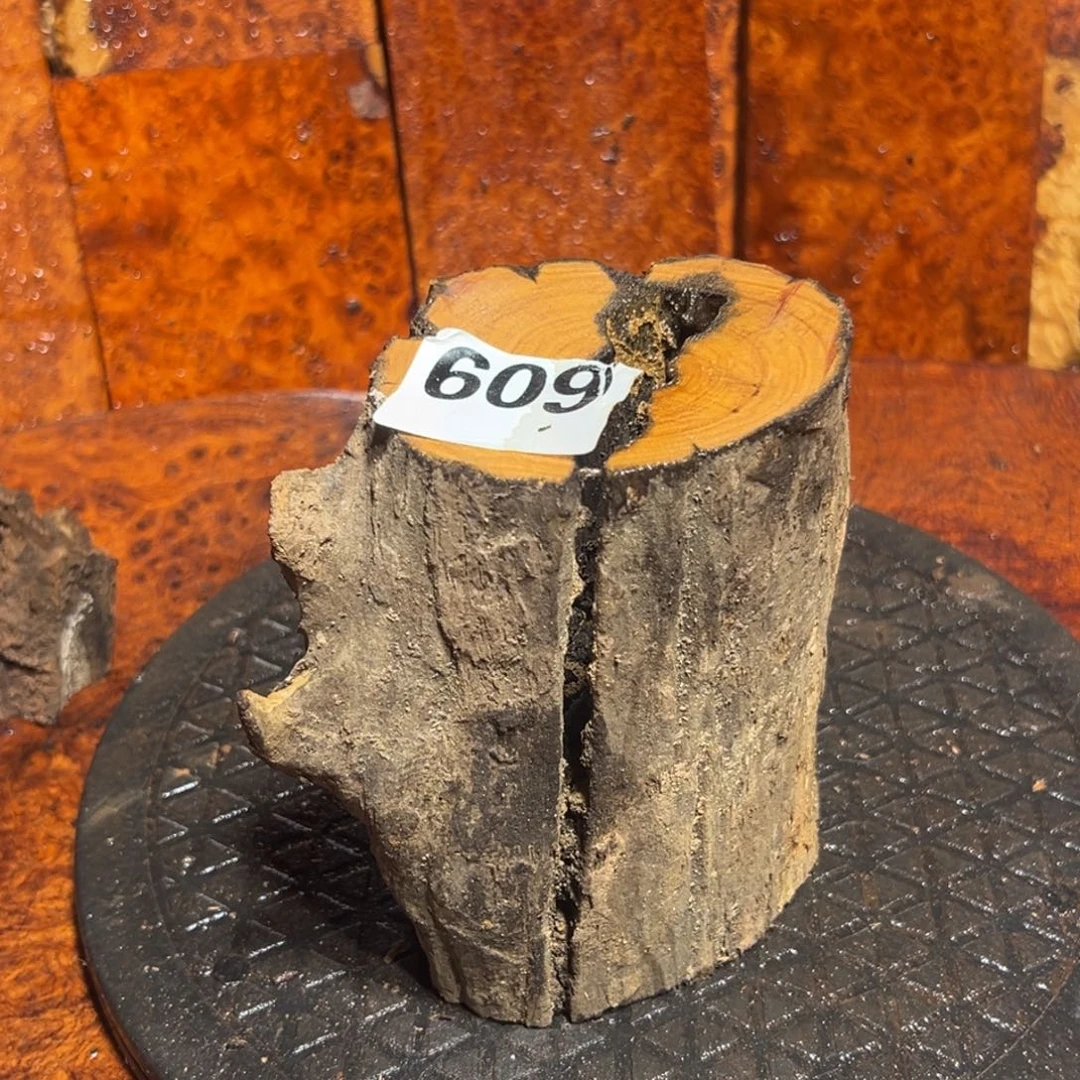 大果紫檀（缅甸花梨）