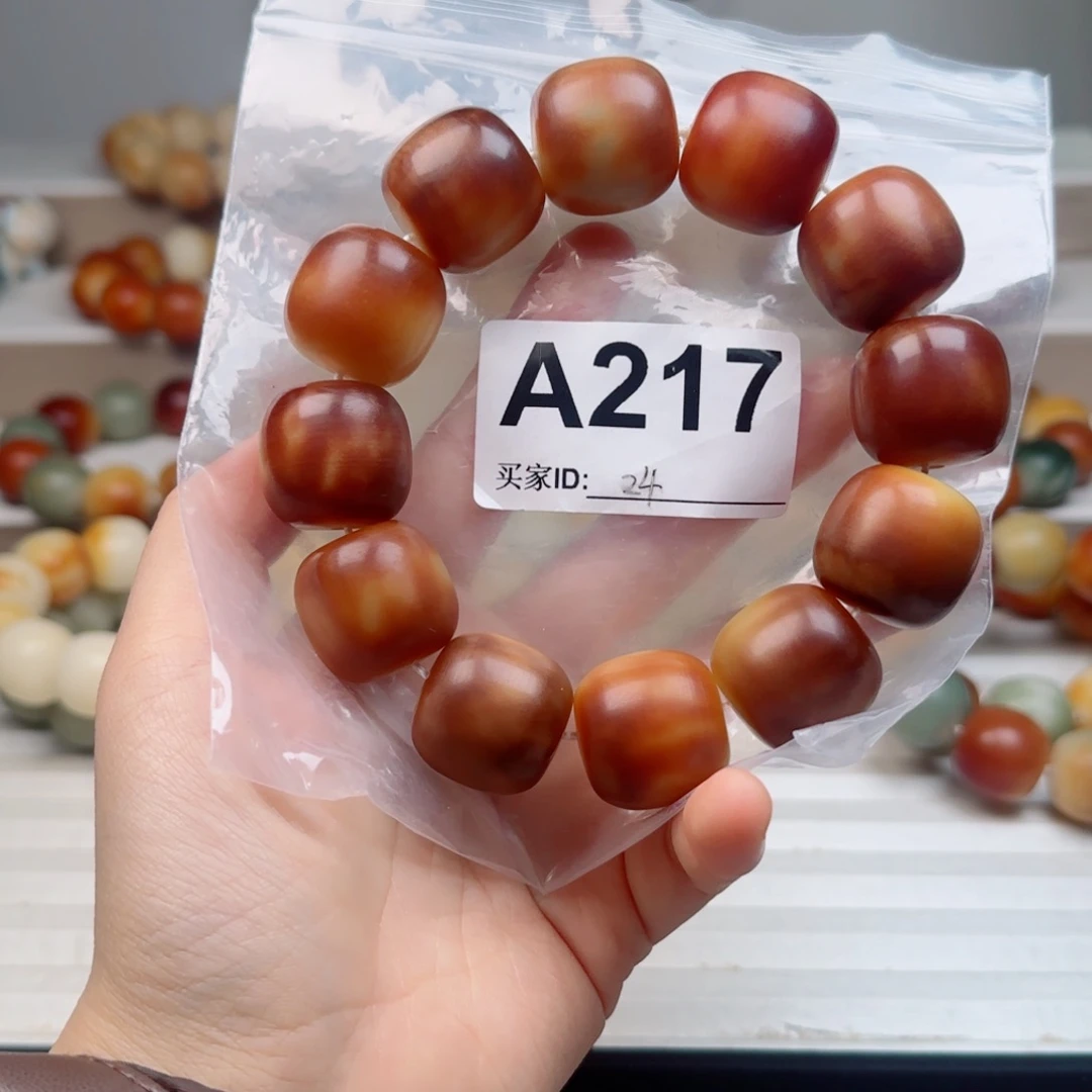 吊坠菩提根/象牙果菩提2.3