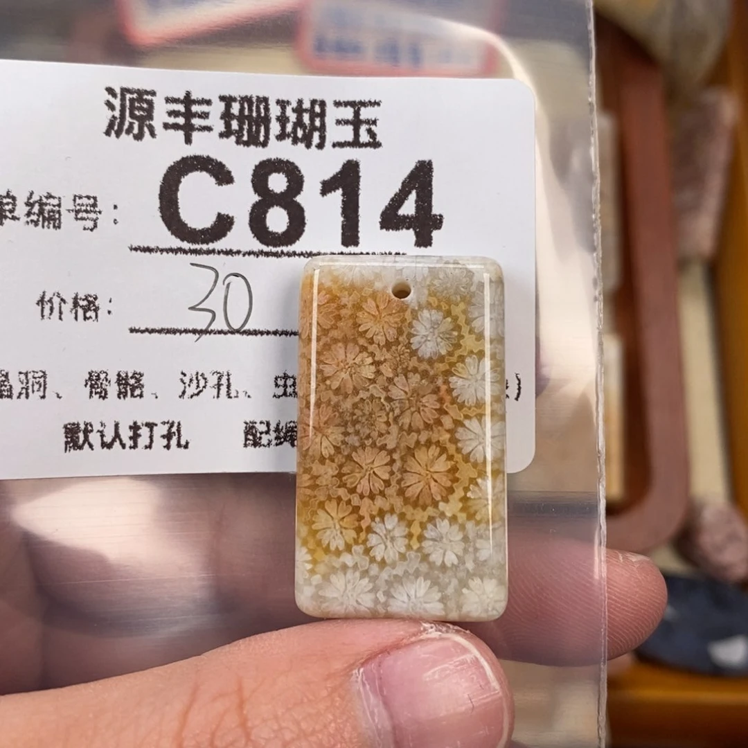 硅化玉颈饰未镶嵌大****神