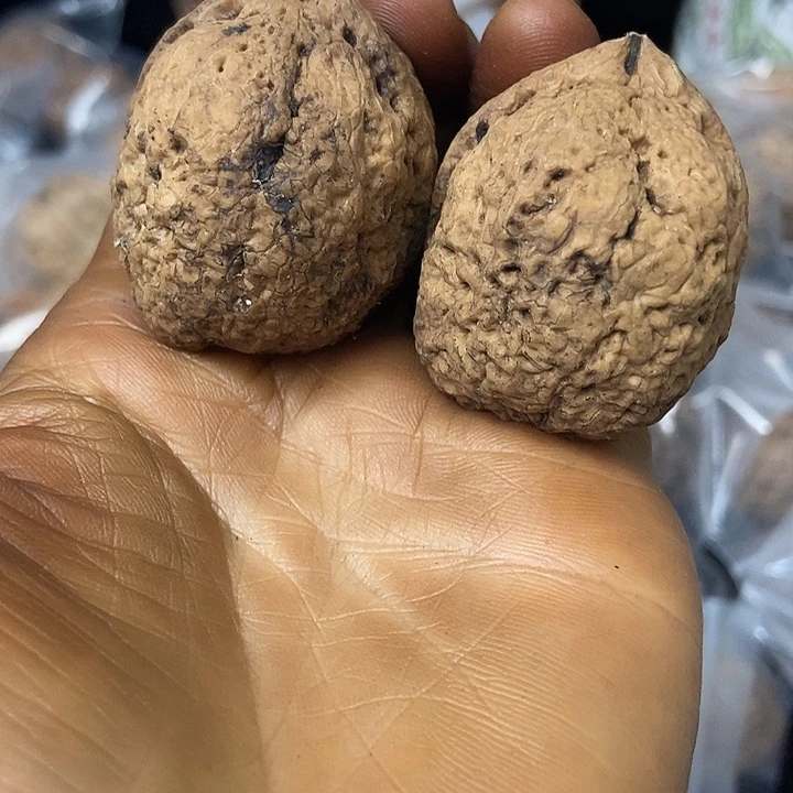 把件文玩核桃云南铁核桃基地26