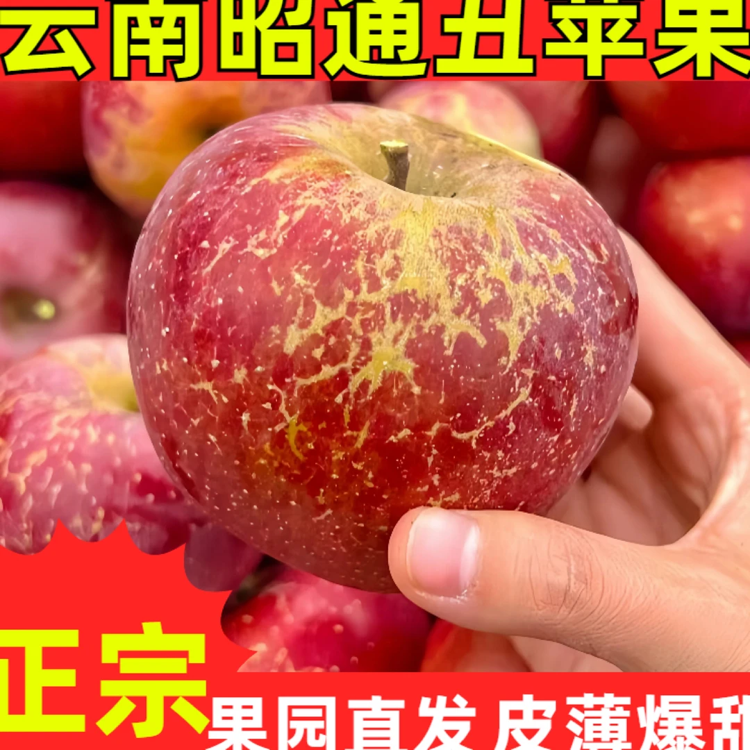 9斤！9斤！9斤！云南昭通冰糖心丑苹果现摘脆甜多汁新鲜水果肉厚营养