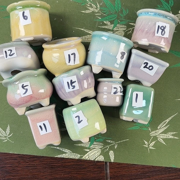 红陶量货/口高深浅搭配发这12个