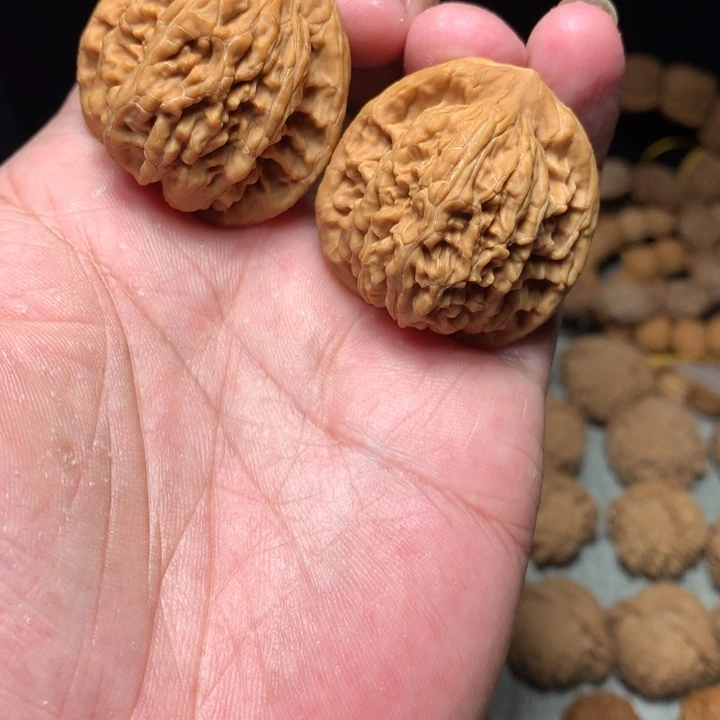 把件桃核全品38望月