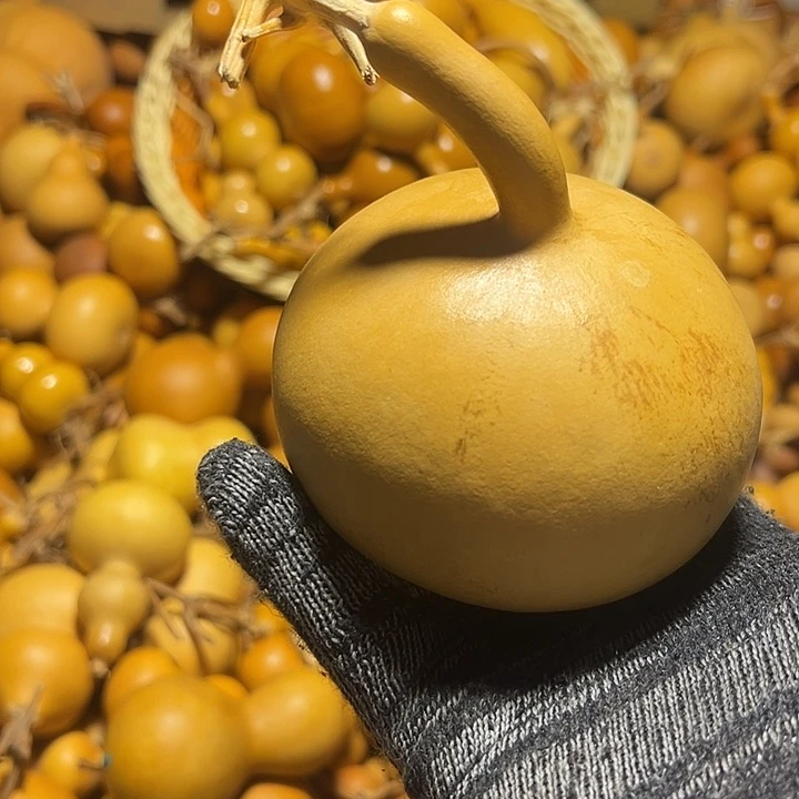 西***王不退不换运输中不保龙头完美主义者勿拍