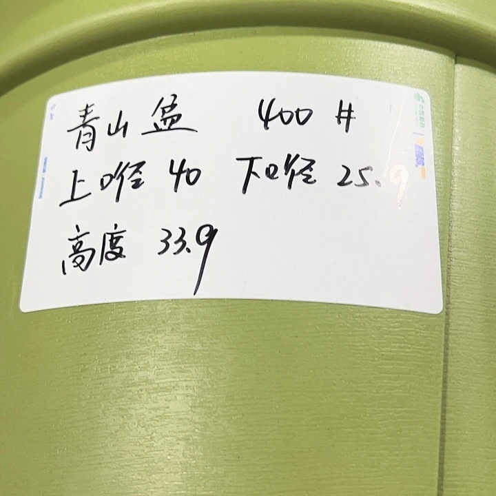 青山口40高34灰白色5只无托