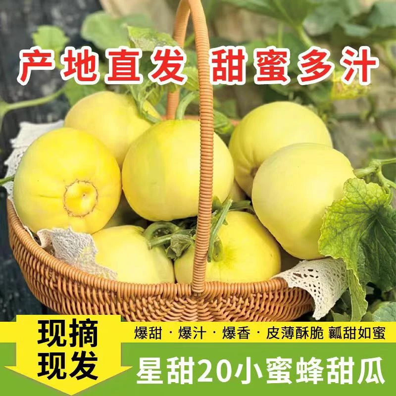 【小娜专属】沂蒙山头茬小蜜蜂（蜜瓜香瓜）星甜20脆嫩绵密特别香