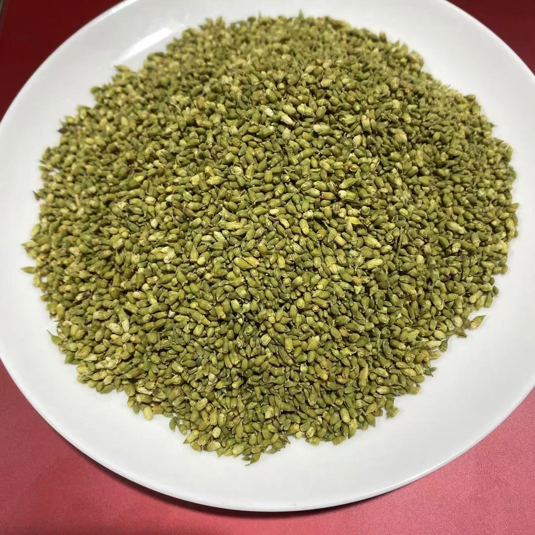 槐米 非人工种植老乡自采 100g