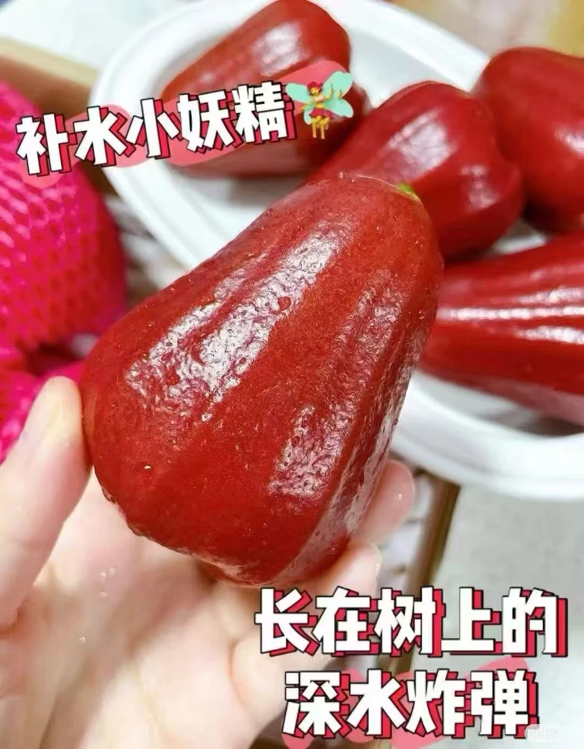 海南空运黑金刚莲雾天然的“矿泉水”补水3斤装