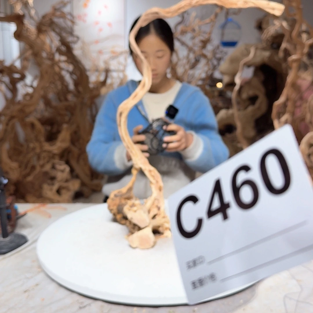 风车木（黑檀木）阿*