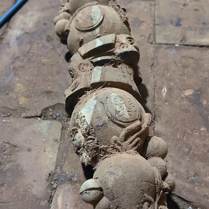 香榧木88888888888888