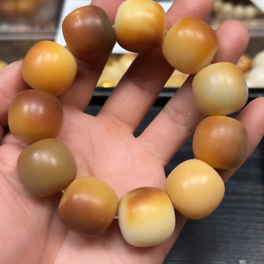 手串菩提根/象牙果14