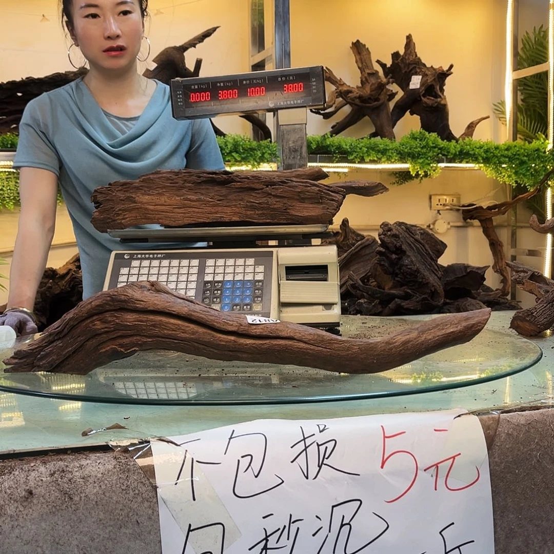 柚木边***哥沉木鱼缸造景