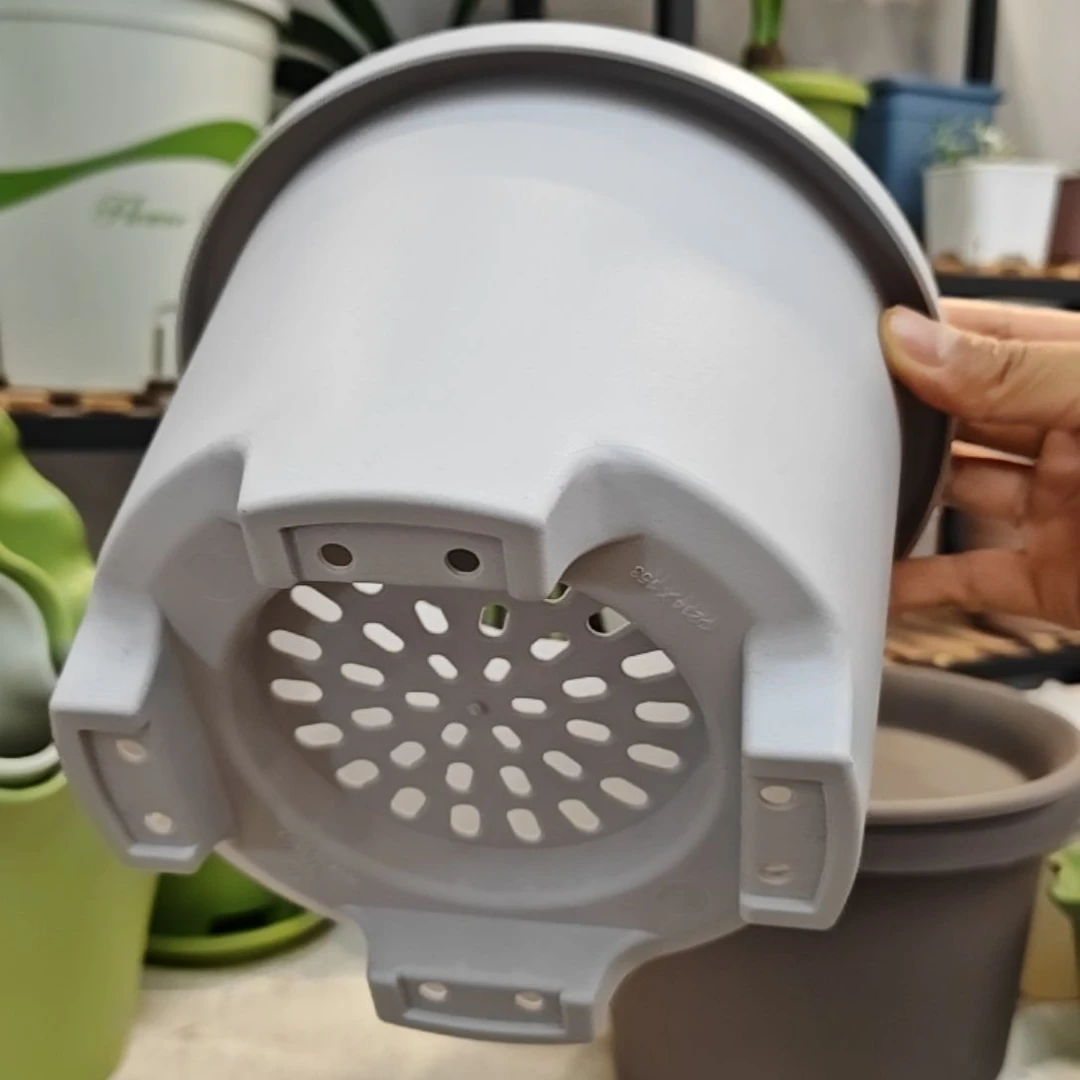 球根外口径20.5，灰白带托五个