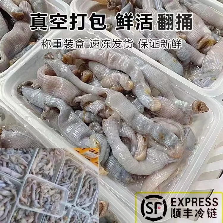 沙虫海肠子鲜活现杀方格星虫去沙去内脏水产油炸煲汤海鲜250克1份