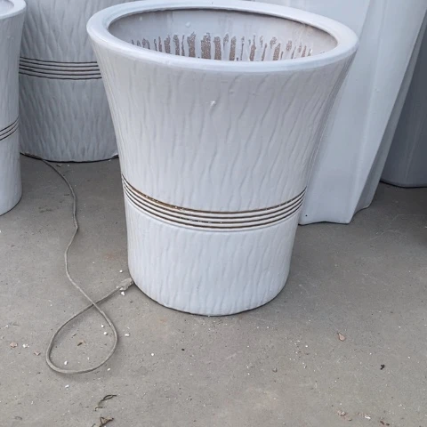 低腰白色金腰线大号32*36