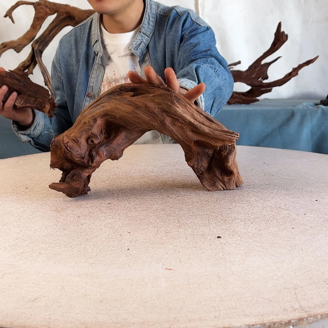 沉木造景爬宠造景