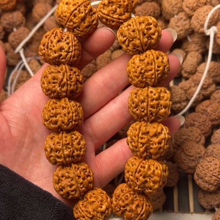 菩提尼泊尔大金刚粗筋豆腐块梅花24