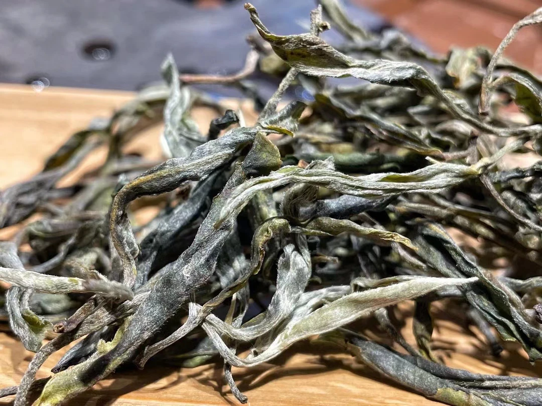 2025年懂过古树春茶品鉴装20克