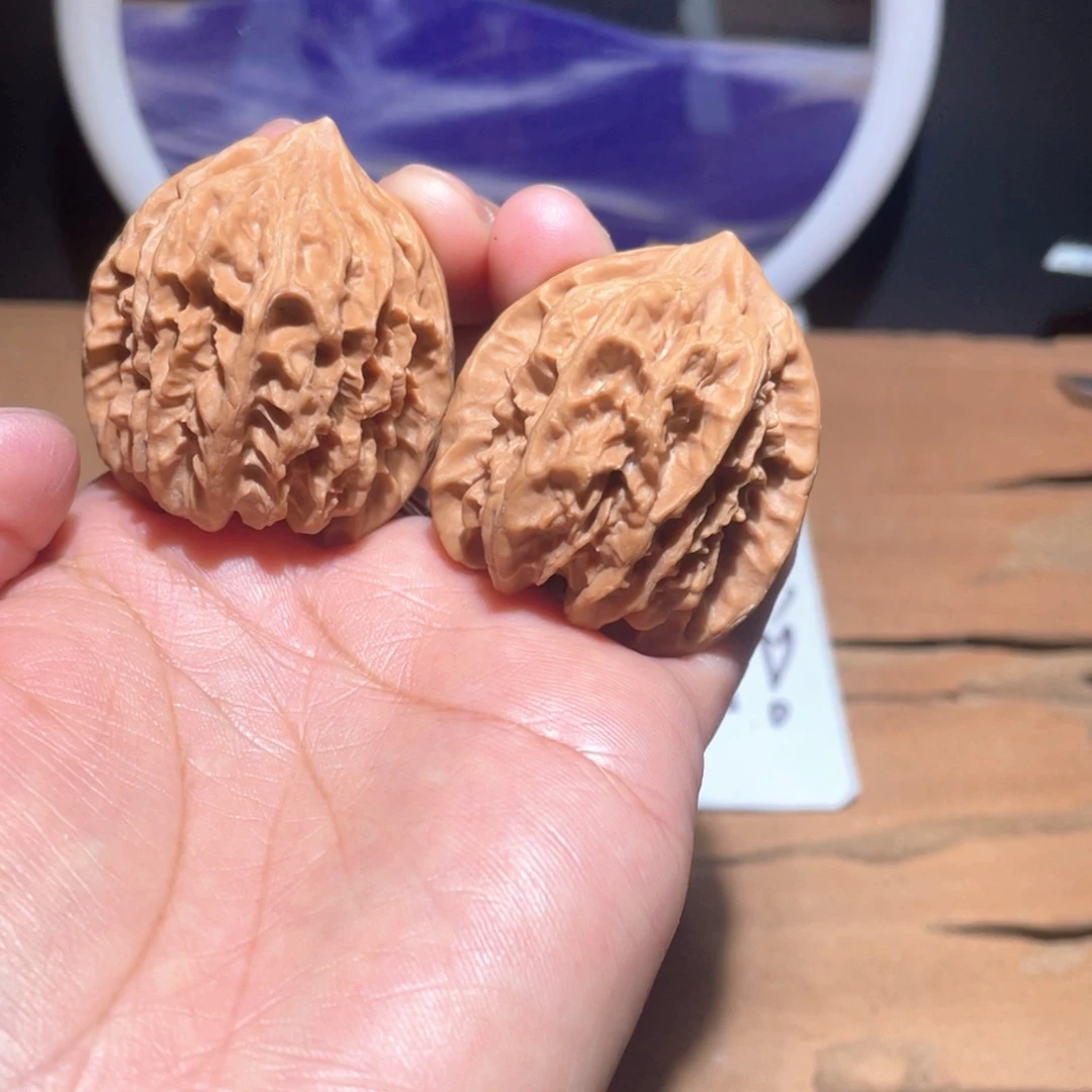 S257 38尺 大龙 全品