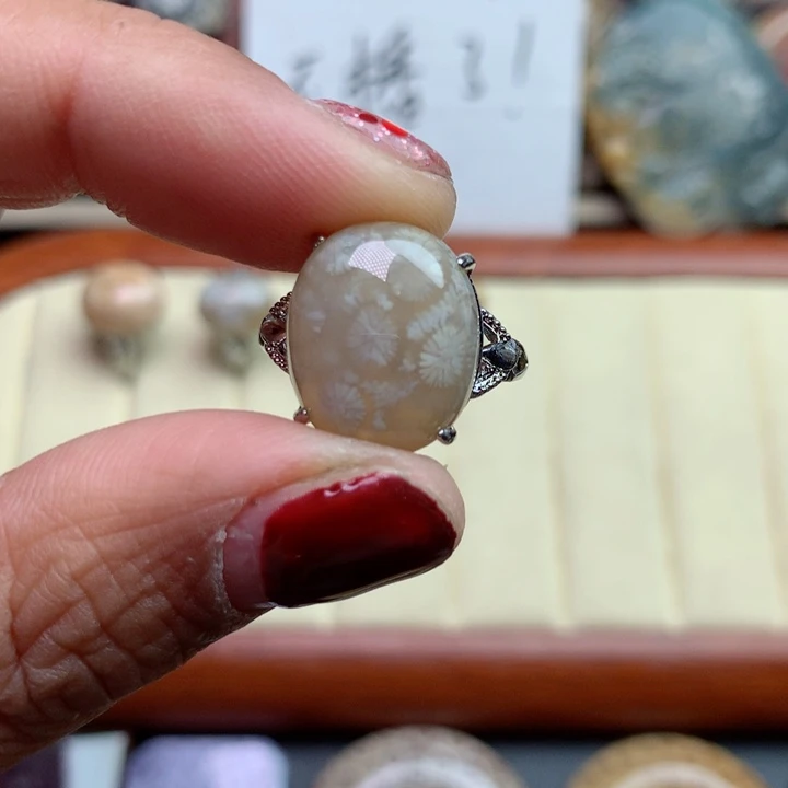 硅化珊瑚（珊瑚玉）颈饰未镶嵌