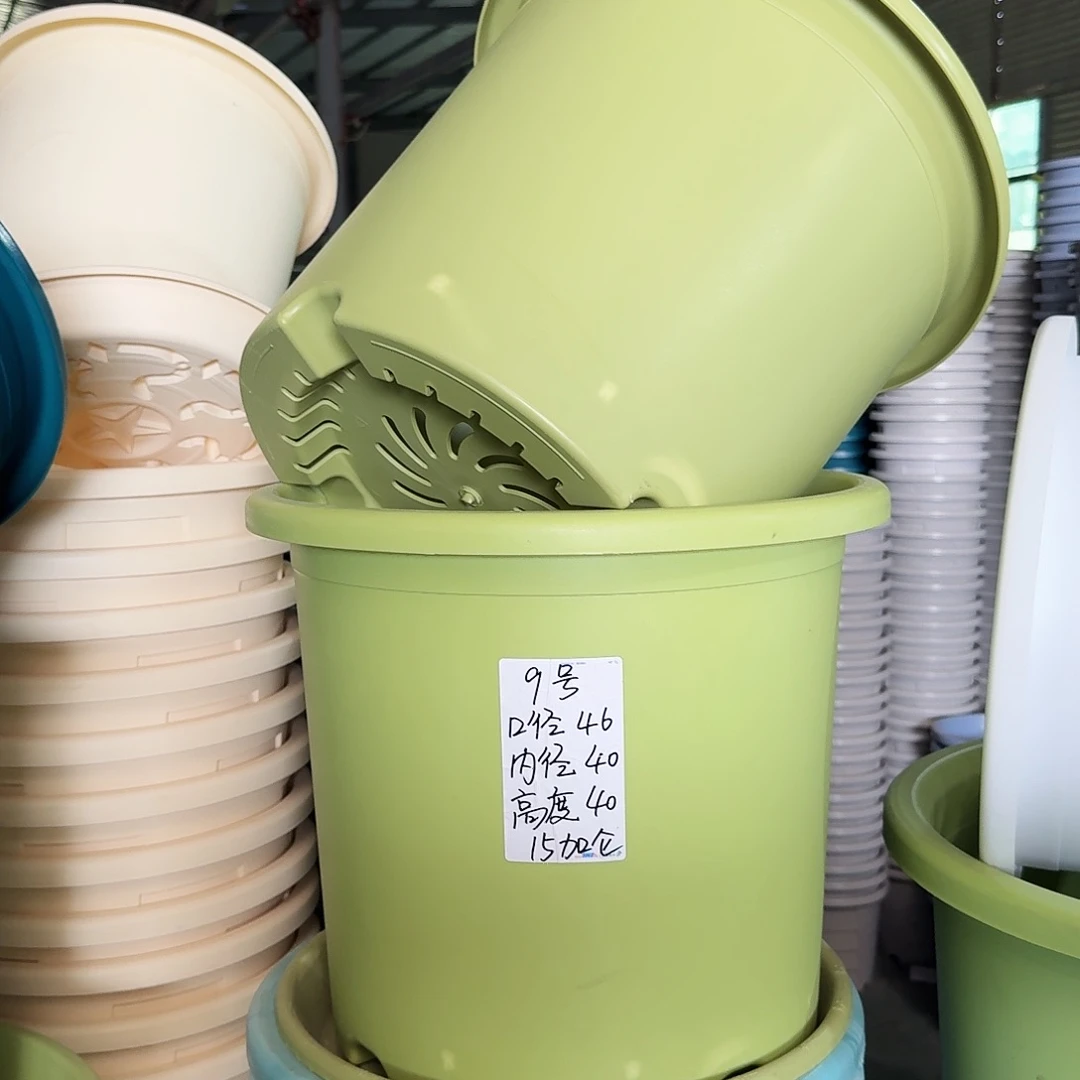 微瑕9#口径46无拖果绿3个